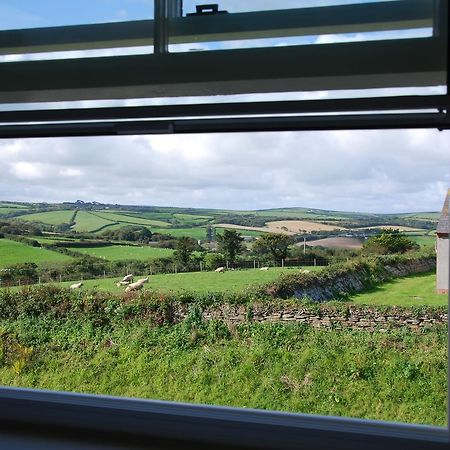 Bed and Breakfast Bangors Organic Bude Exteriér fotografie