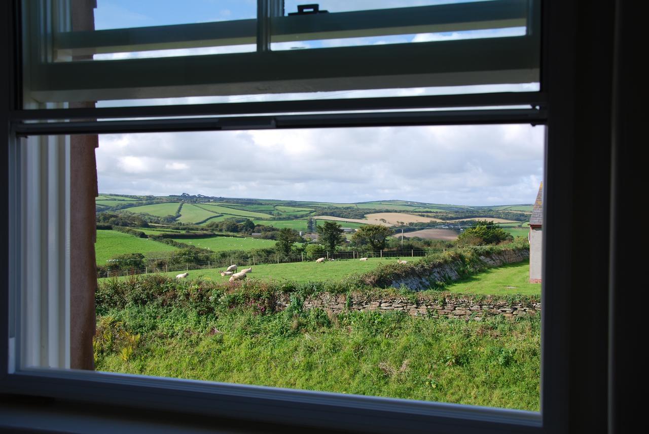 Bed and Breakfast Bangors Organic Bude Exteriér fotografie